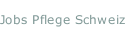 Jobs Pflege Schweiz
